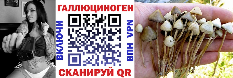 Купить  Мостовской  Галлюциногенные грибы GOLDEN TEACHER 